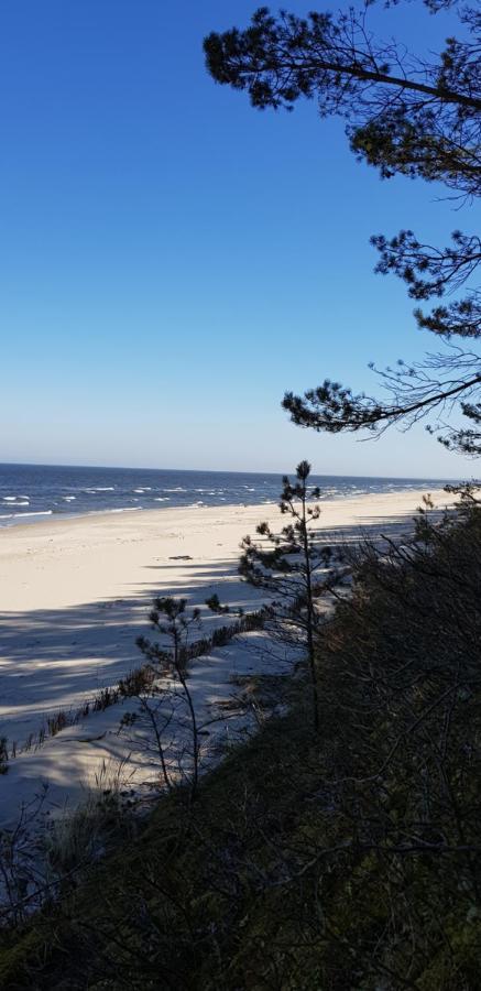 Villa Lipova Stegna Pokoje I Apartamenty Dedykowane Osobom Doroslym Extérieur photo
